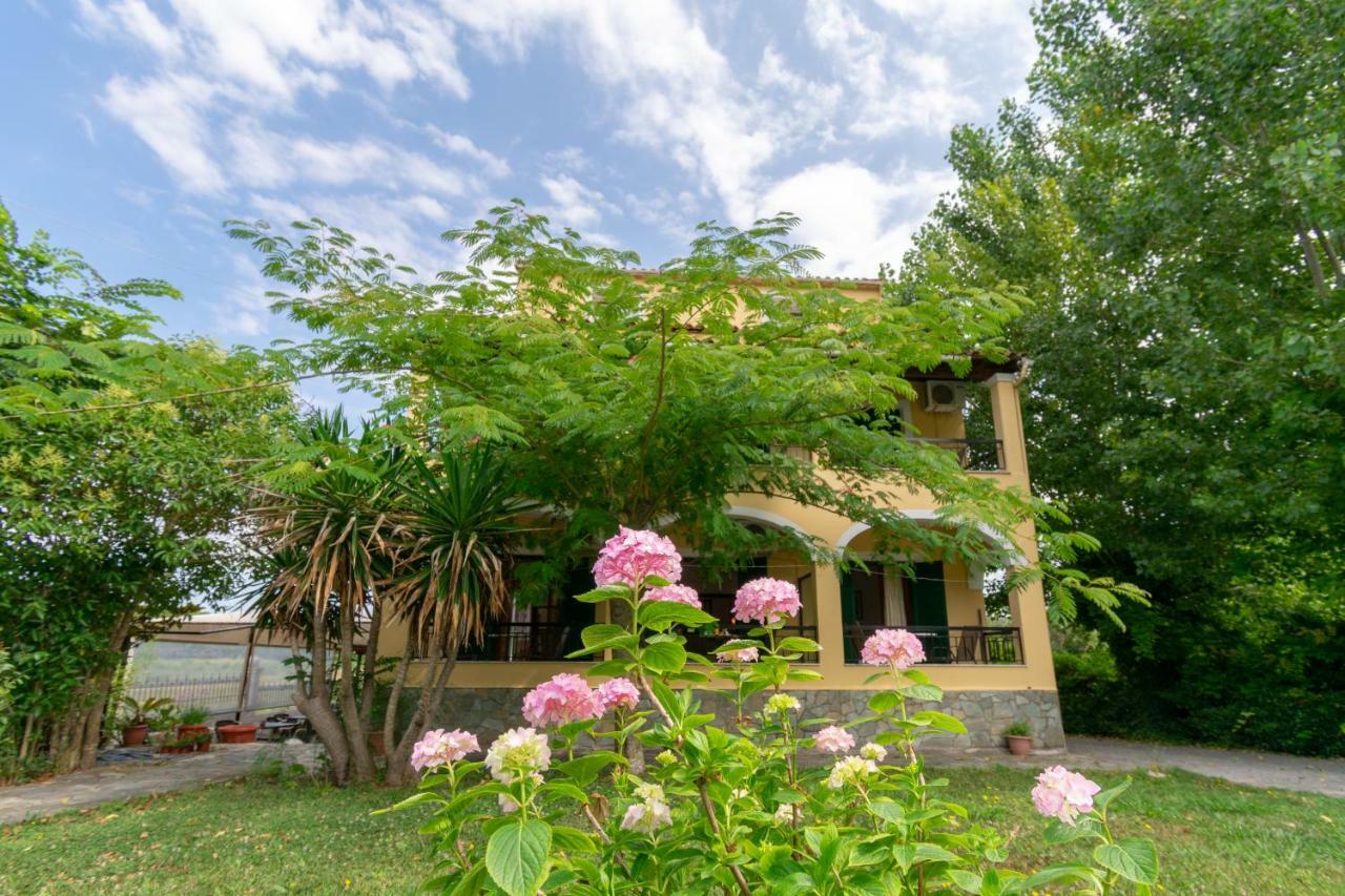 Villa Litsa エルモネス エクステリア 写真